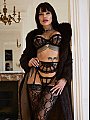 Bella Fox